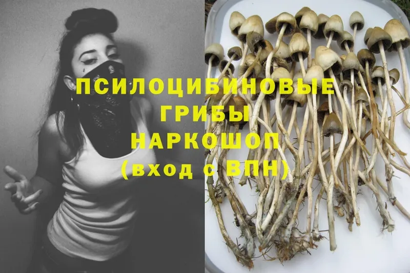 ОМГ ОМГ   Кушва  Галлюциногенные грибы Cubensis 